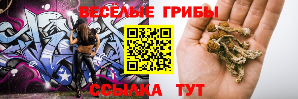 Псилоцибиновые грибы прущие грибы  Вход с VPN  Губаха 